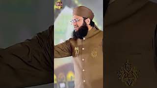 Mashhoor Naat Khuwan Ka Ehem Karnama  Allam Ahmed Raza Amjadi [upl. by Nwavahs]