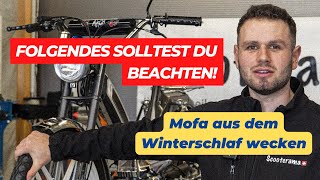 Mofa bereitstellen für den Saisonstart l Nico macht das Puch Startklar für die Saison😎 [upl. by Dhaf]