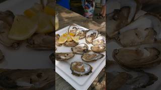 Austern bei Tonys oyster shack Kroatien travel croatia oysters tasty [upl. by Kuhlman66]