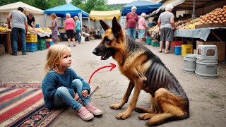 Niña Encuentra Perro DESPRECIADO en Feria lo RESCATA y lo que Menos Esperaban Ocurre [upl. by Euqinomad226]