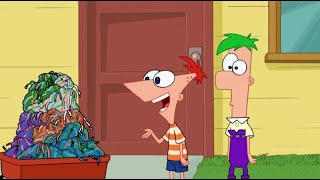 Aglet  Phineas and Ferb [upl. by Alilahk926]