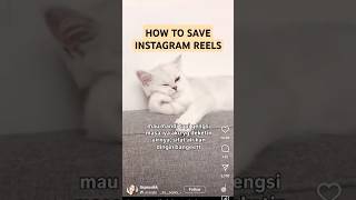 How to Save Instagram Reels [upl. by Marilee663]