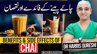 Chai Benefits and Side Effects II Chai peene ke nuksan II चाय के फायदे II Dr hhq [upl. by Romeo]