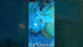 ASMR Sponge Squeezing TyDBol Mix [upl. by Ikiv]