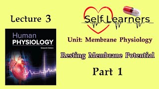 Lecture 3Resting Membrane PotentialMembrane Physiology [upl. by Milah]