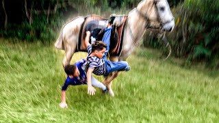 OS MULEQUES CAÍRAM COM O CAVALO DO ZAROLHO [upl. by Rednaskela724]