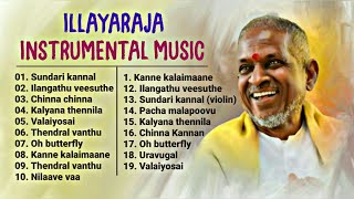 Ilayaraja Instrumental Music amp BGMs  ilayaraja instrumental music collectionFlute Violin veenai [upl. by Masera942]