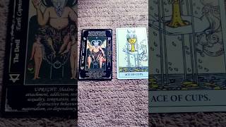 ✨Curent energy of you tarot tarotmalayalam [upl. by Atiuqes]