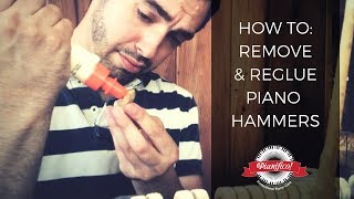 Removing  Regluing Piano Hammers [upl. by Crawley]