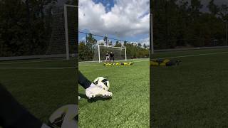 Reactions ⚡️ goalkeeper shorts [upl. by Behlau820]