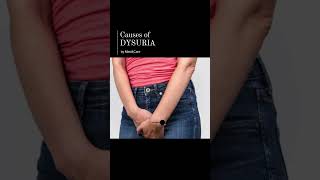 Causes of Dysuria [upl. by Martinic]