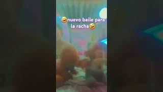 Jaaha humor lentejas baile baile [upl. by Eetnahc]