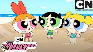 Beach Fight  New Powerpuff Girls Compilation  Cartoon Network [upl. by Jaime996]