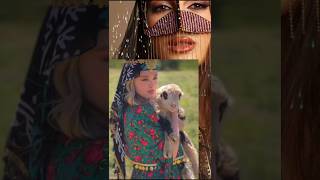 Habibi  Albania remax habibi newsong remix ytshorts music [upl. by Annwahsal]