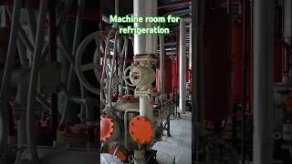 Machine Room for OffGrid Refrigeration – The Ultimate Survival Guide shorts hvac machine [upl. by Sotos]