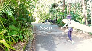 Australia Vlog  Noosa surf trip [upl. by Ontine226]