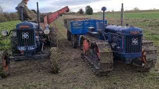 fordson E27N P6 and county crawler taking fodder beet up with catchpole [upl. by Zoila]