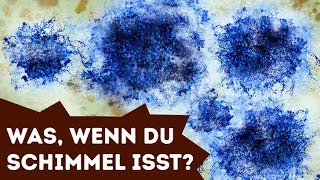 Was passiert wenn du versehentlich Schimmel isst [upl. by Brant]