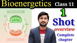 Bioenergetics 1 shot overview class 11 biology by Irtisam Biology [upl. by Ahsikahs]