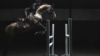 HampM Life  Sports Studio Horse Jumping with Malin Baryard [upl. by Hnilym]