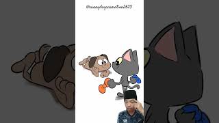 Pita orange apa biru ⁉️ animation cartoon animatiomeme cat funny [upl. by Ronile21]