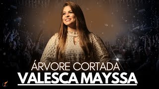 Valesca Mayssa  Os Melhores Clipes  DVD Árvore Cortada [upl. by Laemaj]