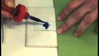 Preparing a microscope slide [upl. by Shaeffer]