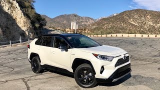 Toyota RAV4 hybrid 2019 test PL Pertyn Ględzi [upl. by Mcdougall]