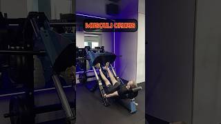 45Degree Leg Press Calf Raises with Toes Pointing [upl. by Ainoek]