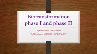 biotransformation phase I and phase II Reactions [upl. by Adlih]