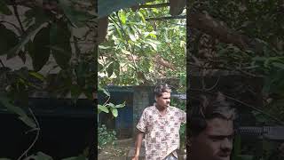 Mithun da dialogue shpat movie shortvideo trending dialogue [upl. by Maria]