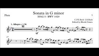 Play along  CPE Bach Sonata in G minor  H542  Bach BWV 1020 [upl. by Aicats]