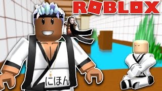 NINJA TRAINING OBBY IN ROBLOX [upl. by Akemit]