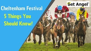 Five top tips for betting and Betfair trading at the Cheltenham festival [upl. by Annaehs728]