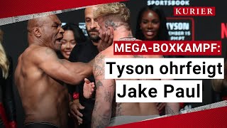 Boxkampf des Jahres Mike Tyson gegen Jake Paul [upl. by Adriaens]