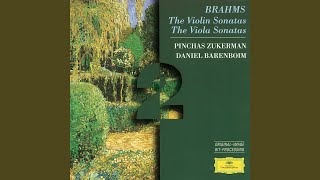 Brahms Violin Sonata No 2 in A Major Op 100  I Allegro amabile [upl. by Adraynek441]