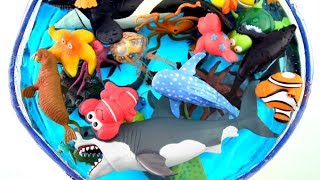 Learn Sea Animal Names For Kids With Shark and Dolphin Toys [upl. by Ras863]