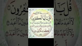 Surah AlKafirun  Mishary Rashid Alafasy  surahalkafiroon quranrecitation shorts viralvideo [upl. by Tap]