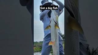 Got a big fish fish fishing fishingvideo fishinglife fishtank fisherman fishvideo bass carp [upl. by Rafaelia]