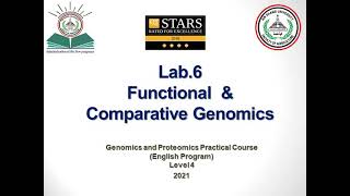 Genomics and Proteomics Practical Course Lab6 [upl. by Brindle454]