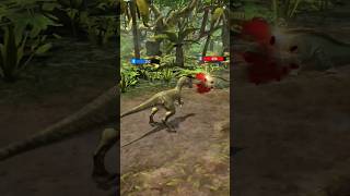 ECHO VS DIPLOCAULUS Dinosaur Fighting  Best Dinosaur Fight Gameplay  Dinosaur Game 2024 [upl. by Rebmetpes264]