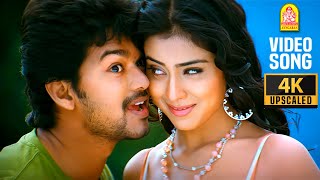 Thalapathy Vijay Superhit Movie  Thirupaachi  HD Print Quality  Tamil Full Movie  Vijay Trisha [upl. by Philine]