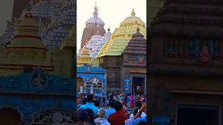 Puri Jagannath Temple ⭕‼️⭕🙏 jai jagannath 🙏 jai jagannath 🙏 jai jagannath automobile shorts short [upl. by Jaymee196]