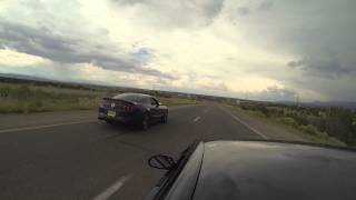 Stock 03 Cobra vs stock 2014 GT500 [upl. by Killy]