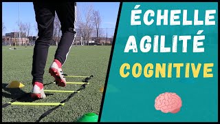 Échelle dagilité cognitive  améliore ta MOTRICITÉ et COORDINATION ⎪CogiFit [upl. by Esojnauj]