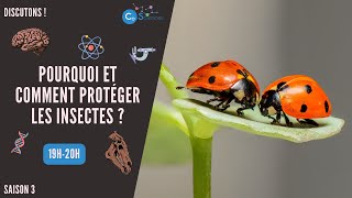 Pourquoi et comment protéger les insectes [upl. by Imhsar]