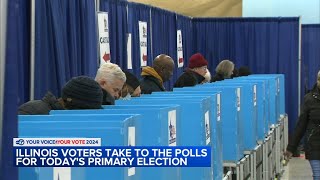 Voters head to polls on Election Day for 2024 Illinois Primary [upl. by Annil329]