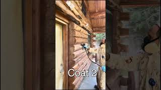 Staining a log house [upl. by Lipsey244]