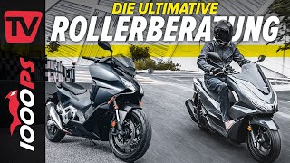 Die ultimative Roller Beratung Welchen Roller soll ich kaufen [upl. by Ledniahs]