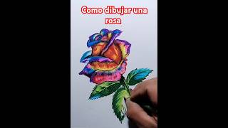 Como dibujar una rosa multicolor lapicesdecolores dibujo drawing [upl. by Aitram]